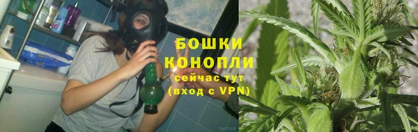 мяу мяу мука Елизово