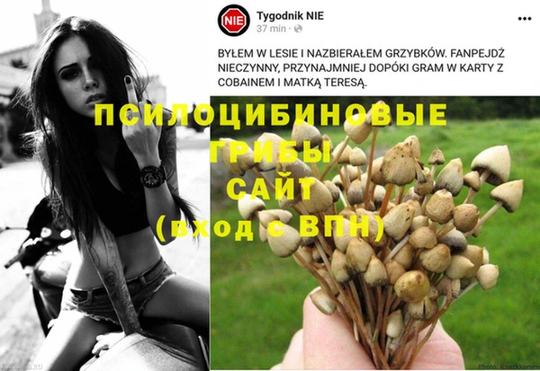 мяу мяу мука Елизово