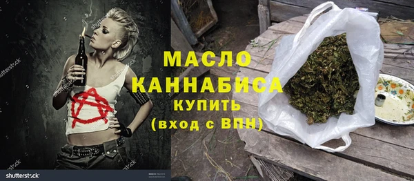 гидра Елабуга