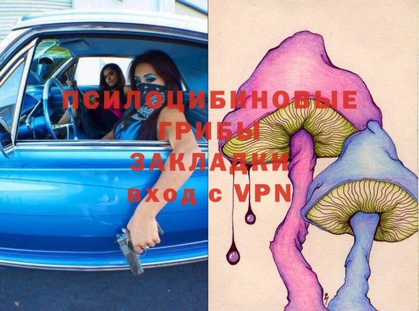 первитин Ельня