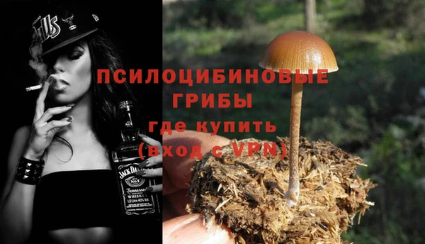 ECSTASY Дмитровск