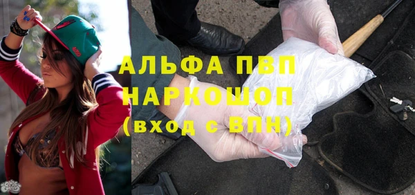 гидра Елабуга