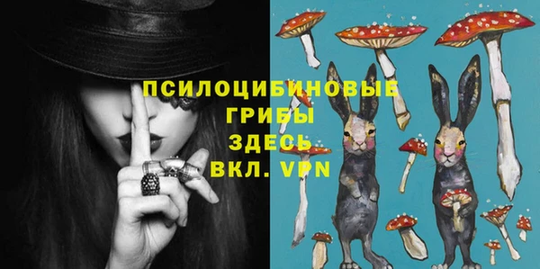 ECSTASY Дмитровск