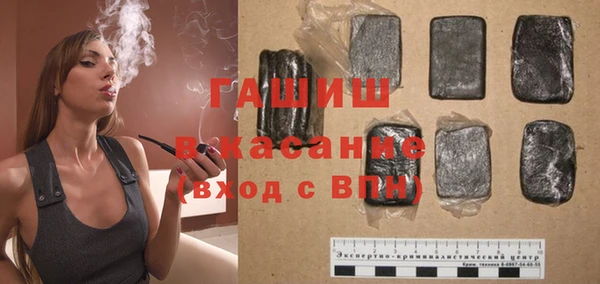 гидра Елабуга