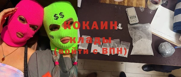 гидра Елабуга